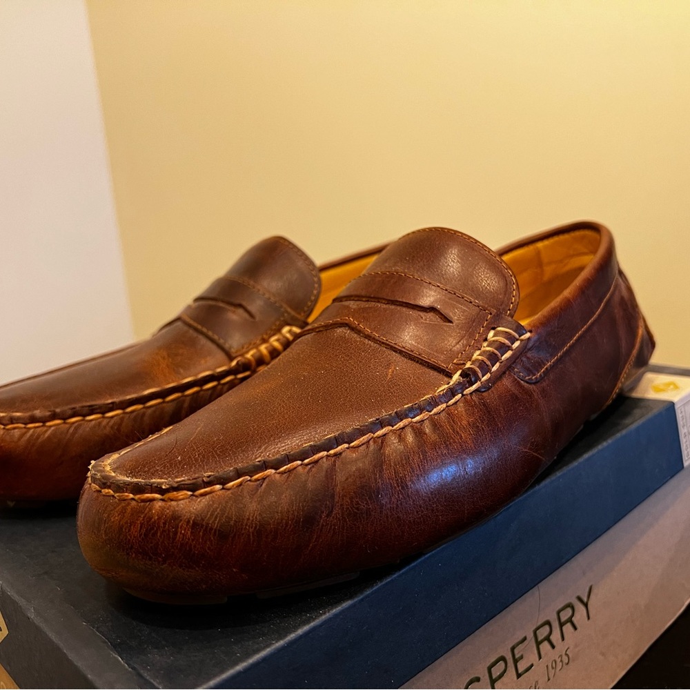 Sperry Gold Cup Harpswell Penny Loafer